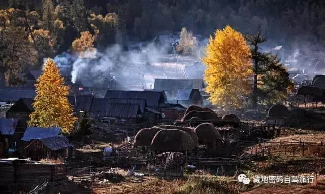 新疆秋季最美的地方—喀纳斯最新旅游攻略