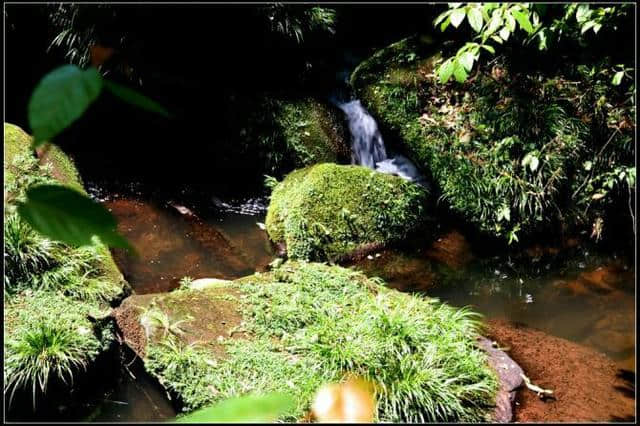 雅安碧峰峡赏析