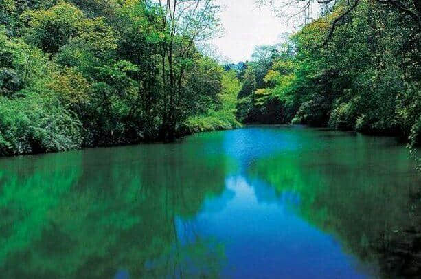 雅安碧峰峡赏析