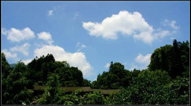 雅安碧峰峡赏析