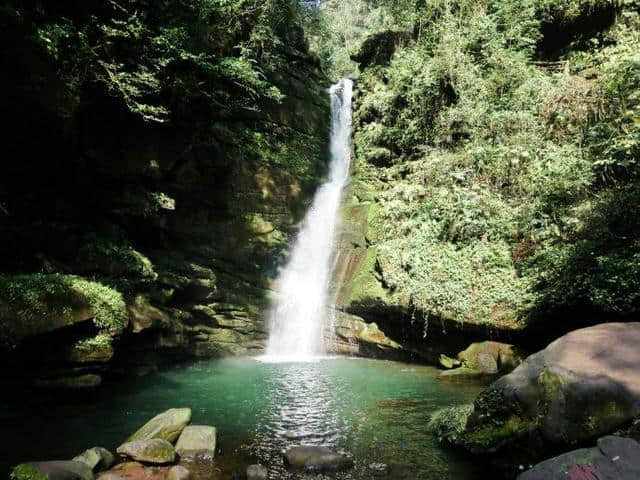 雅安碧峰峡赏析