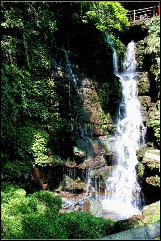 雅安碧峰峡赏析