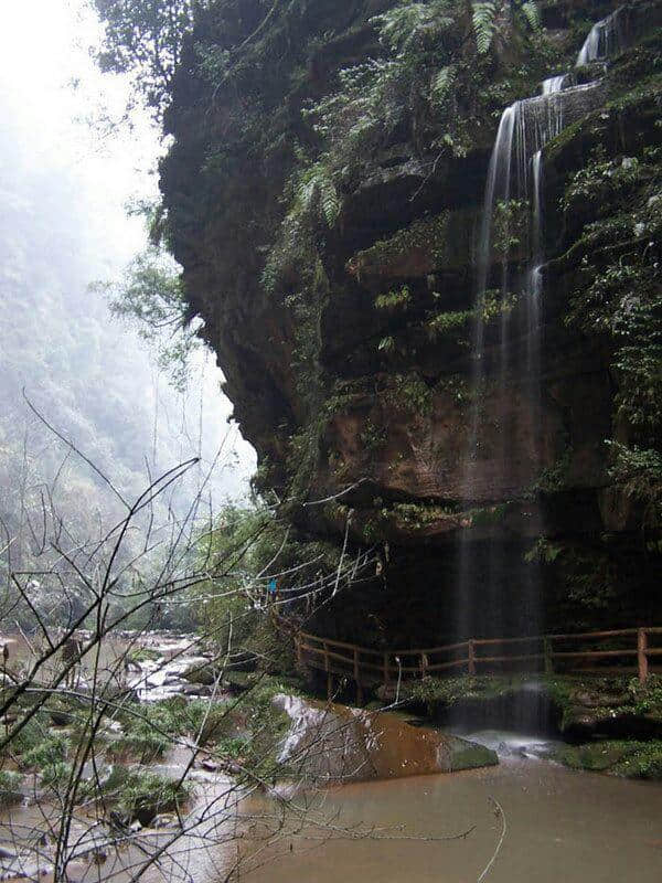 雅安碧峰峡赏析