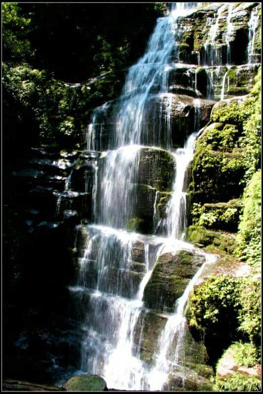 雅安碧峰峡赏析