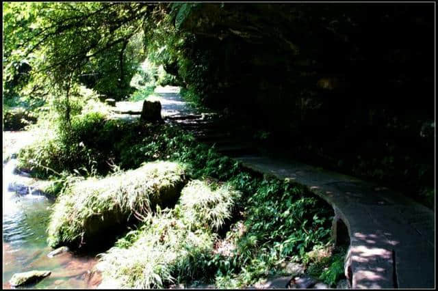 雅安碧峰峡赏析