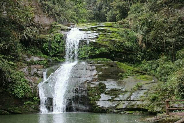 雅安碧峰峡赏析