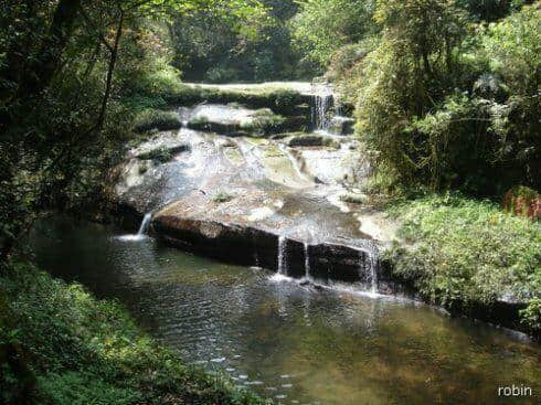 雅安碧峰峡赏析