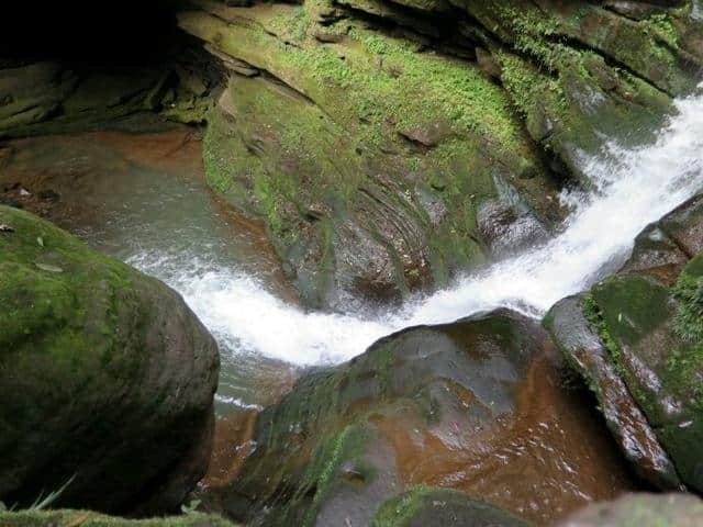 雅安碧峰峡赏析