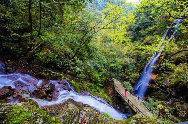 热炸了，避暑+旅游，这几个避暑胜地你去过没？