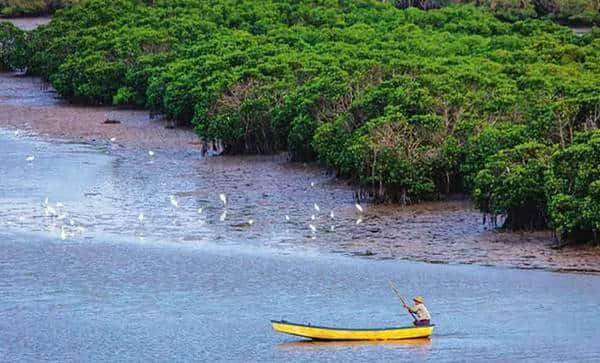 海口旅游景点排行TOP10！这些你最喜欢哪里？