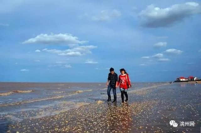 一路向东向西向大海，滨州这些景点全部免费！还不快告诉小伙伴？