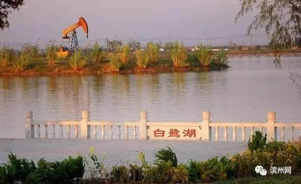 一路向东向西向大海，滨州这些景点全部免费！还不快告诉小伙伴？