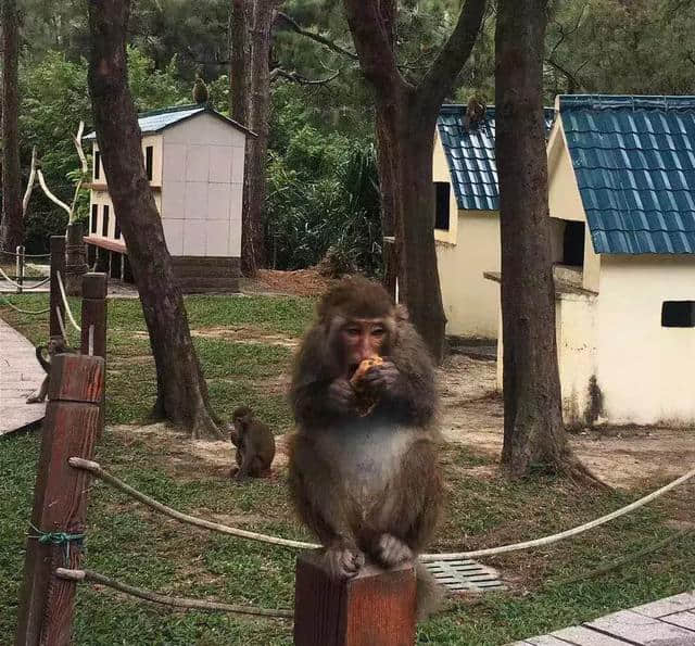 上川岛，我们来了！——2018草木蕃员工团建旅游小记