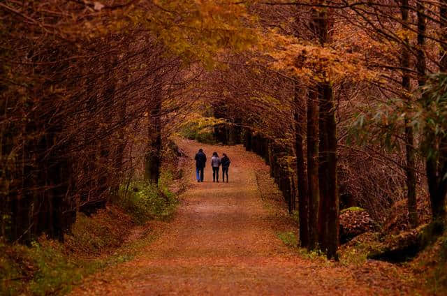 8月秦巴山区风光旅游线路攻略免费送给你