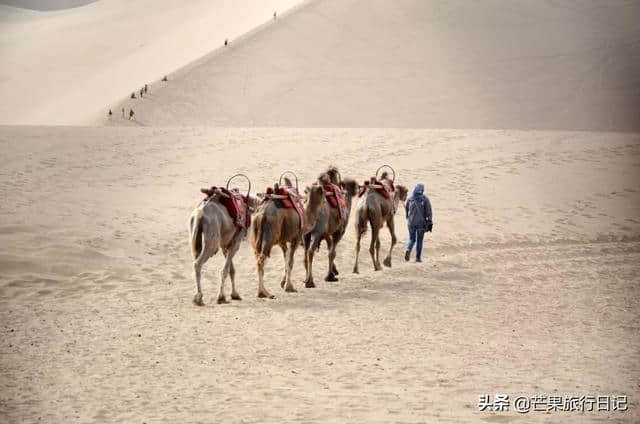 甘肃、新疆、敦煌、哈密，三个女孩有惊无险的旅行经历