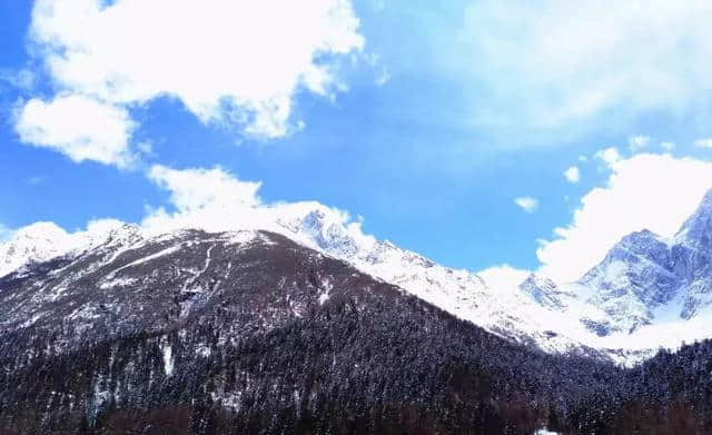 三月踏春，毕棚沟解锁更多景点，在漫天春雪中看山花烂漫