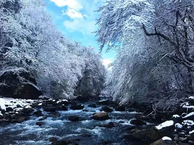 三月踏春，毕棚沟解锁更多景点，在漫天春雪中看山花烂漫