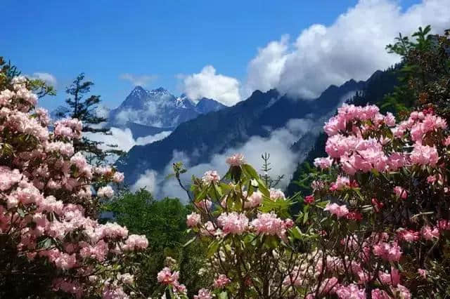 三月踏春，毕棚沟解锁更多景点，在漫天春雪中看山花烂漫