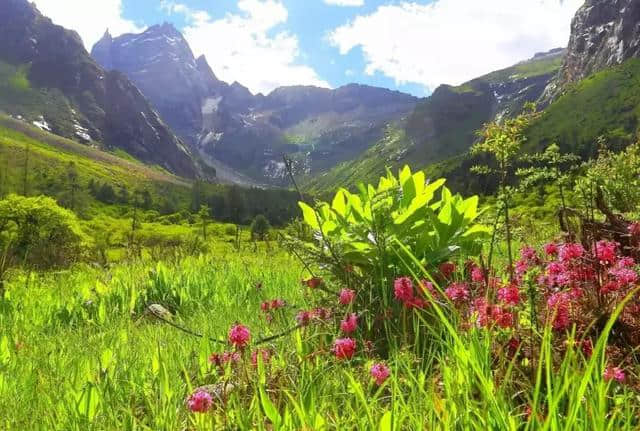 三月踏春，毕棚沟解锁更多景点，在漫天春雪中看山花烂漫