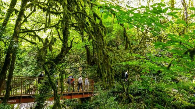 生态旅游：2018年全球这20个旅游目的地，或许是您不错的选择