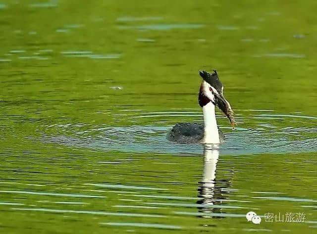 「湖光山色」如梦如画-----兴凯湖湿地