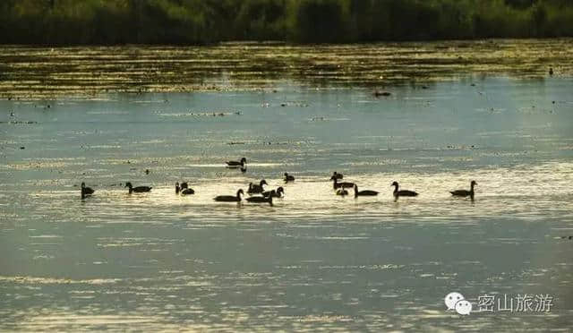 「湖光山色」如梦如画-----兴凯湖湿地