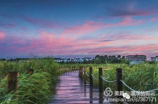 「湖光山色」如梦如画-----兴凯湖湿地