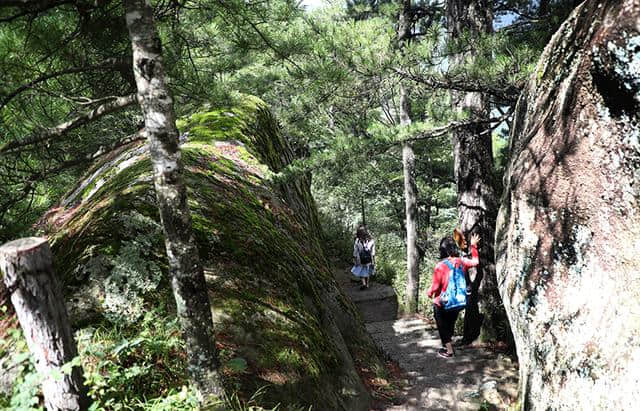 陕西旅游攻略：时光正好 自驾木王，看山看水享清凉