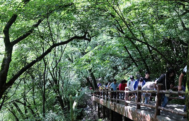 陕西旅游攻略：时光正好 自驾木王，看山看水享清凉