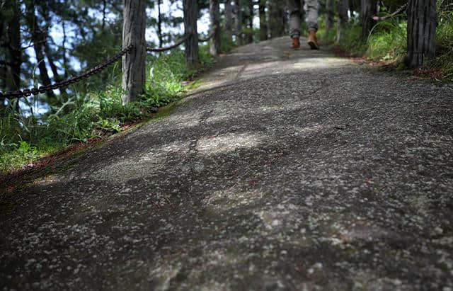 陕西旅游攻略：时光正好 自驾木王，看山看水享清凉