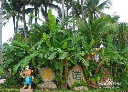 去海南旅游必须看的十大景点