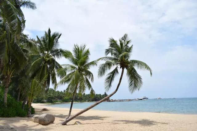 夏天就该去看海！国内这些好玩的海边，你可能只听过第一个