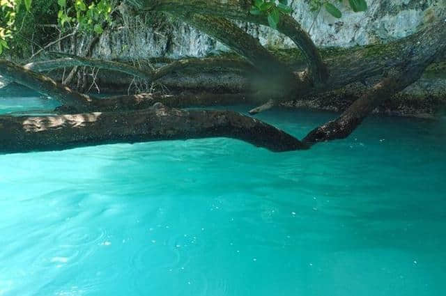 帕劳｜高性价比，一价全包的海岛旅行的正确打开方式！