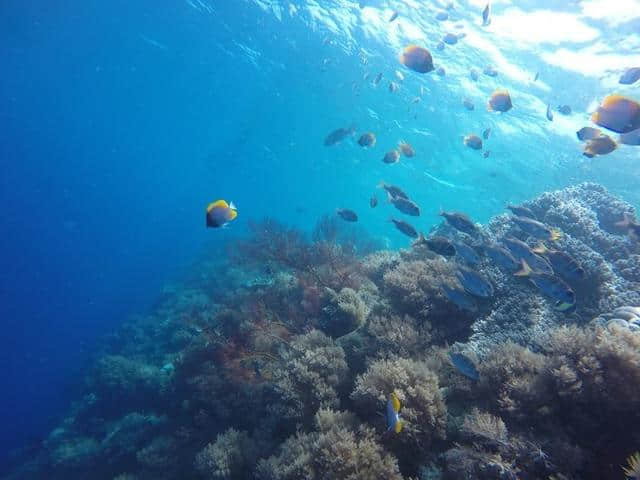 帕劳｜高性价比，一价全包的海岛旅行的正确打开方式！