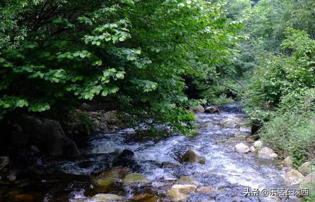 陕西旅游攻略：峻山秀水湿地风光，渭南旅游不可错过的几个地方