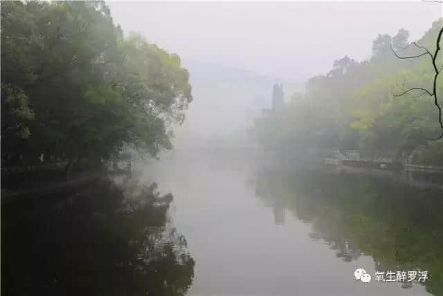 惠州全域旅游沙龙博罗专场在罗浮山召开