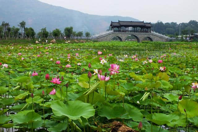 绘最新商洛旅游地图 览7县区优美风姿