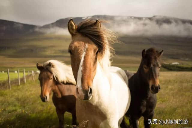 冰岛自由行最新旅游攻略-冰岛地道特色游玩攻略