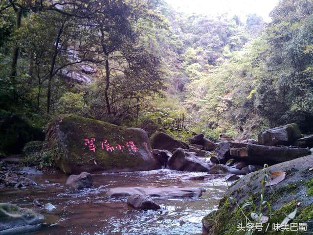 成都一小时车程游雅安碧峰峡，赏风景看熊猫参观野生动物园