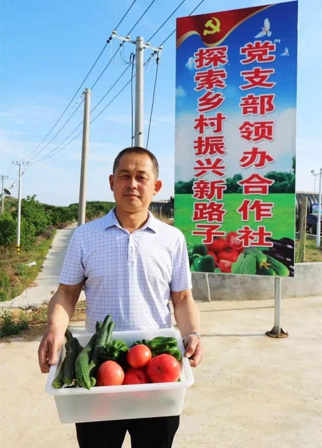 这可能是蓬莱最好吃的西红柿！来自山东省旅游扶贫重点村杏吕村~