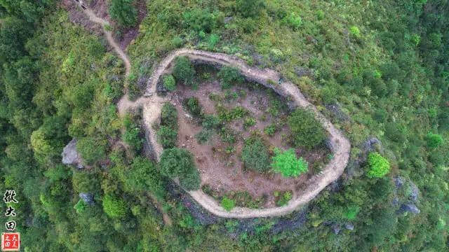 三明笔架山的此物为花中西施 来年暮春便会刷遍你朋友圈