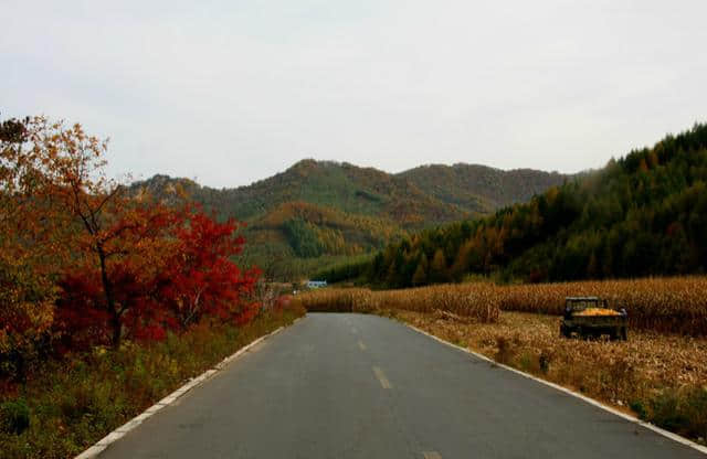 东北第一沟，本溪的秋景和这里比真的俗气了，原生态景色太好看