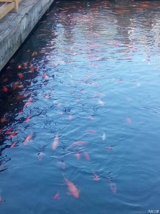 山东半岛浪里格朗