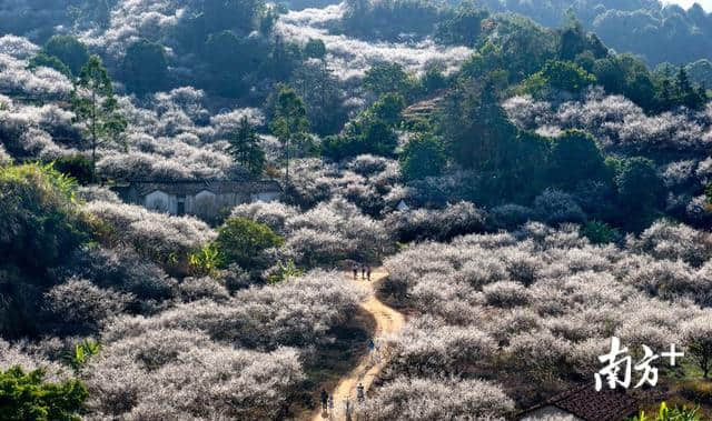 地方观察｜粤东粤西粤北6村落入选首批全国乡村旅游重点村！不来打卡一下吗？