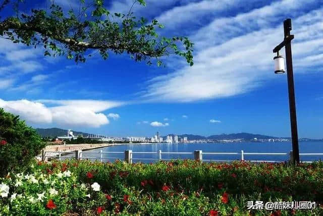 山东半岛，海边自驾之旅最美 不是地域歧视，山东民风哪里能比？