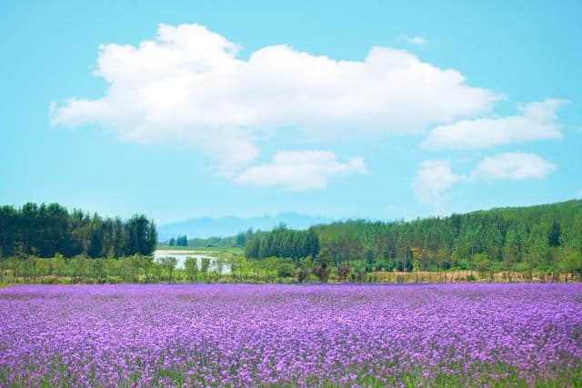 国庆长假，青岛最全旅游景点优惠及精彩活动指南