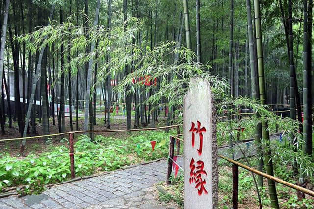 山东日照旅游景点：竹洞天风景区美丽组图