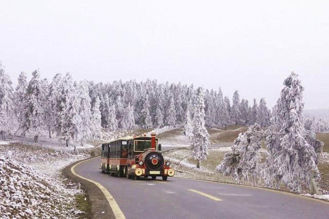 春节最适合去哪儿旅行？特价机票告诉你！