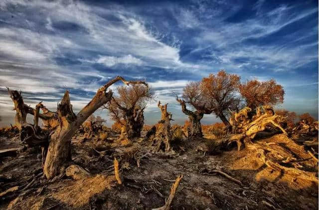 所有人，冬天游哈密，5条旅游线路，各景区免收门票！千万别错过了！