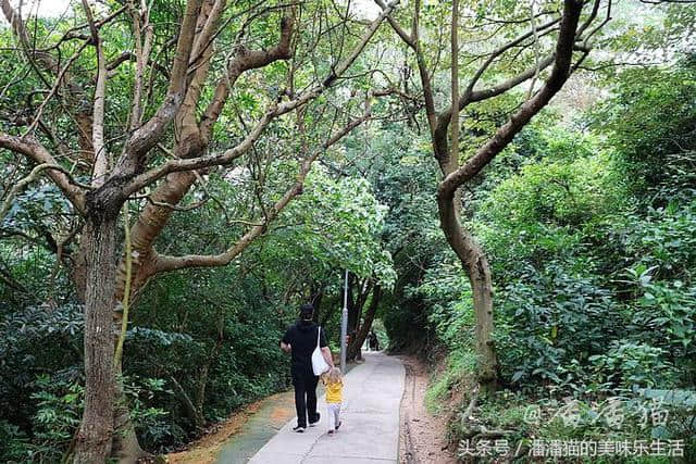 领略香港别样风情的新线路